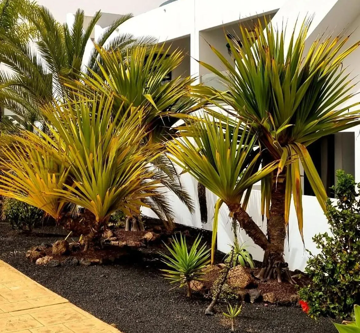 Infinity Casilla Apartment La Oliva 0*,  Spain